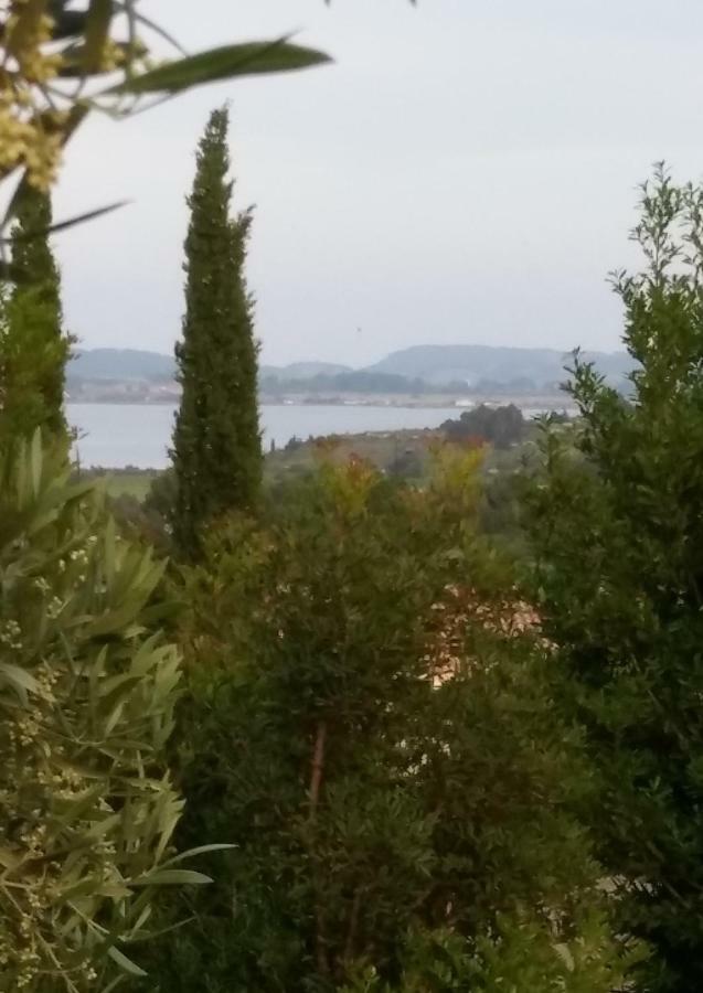 Villa Le Clos Fleuri Narbonne Eksteriør billede