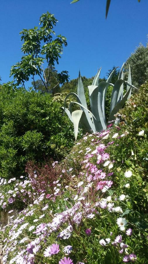 Villa Le Clos Fleuri Narbonne Eksteriør billede