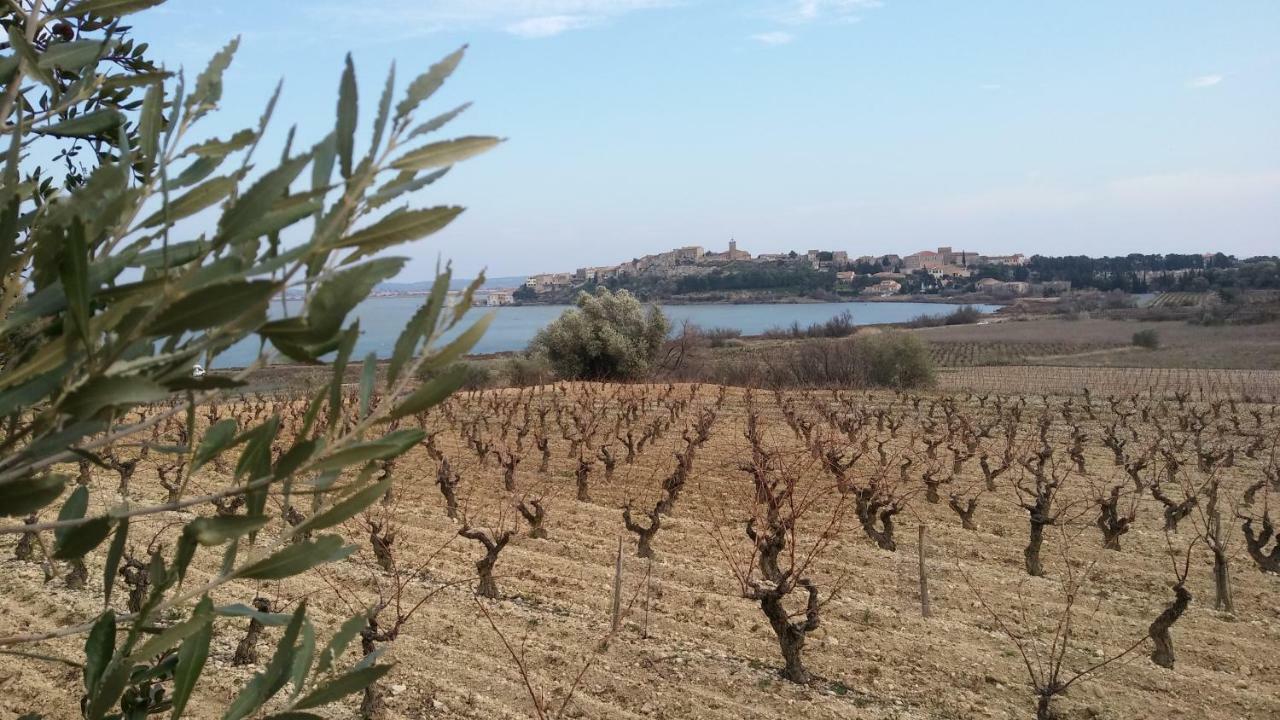 Villa Le Clos Fleuri Narbonne Eksteriør billede